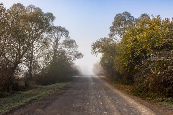 Road  near forest in foggy mountains at sunrise — Stock Photo, Image
