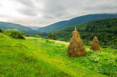haystacks yamaca alanıyla