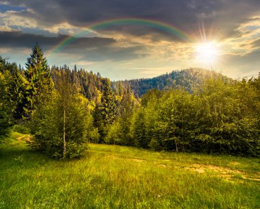 gün batımında dağlarda orman yolu