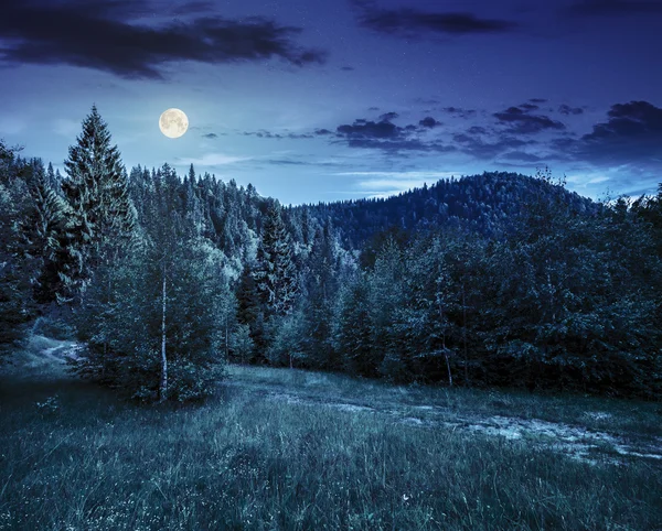 Vägen till forest i bergen på natten — Stockfoto