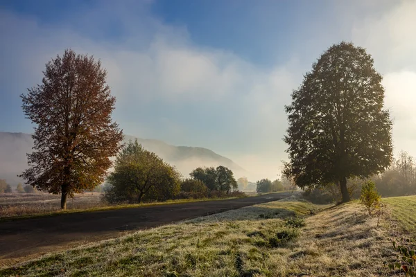 Silnice v blízkosti lesa v Mlžné hory při východu slunce — Stock fotografie