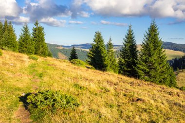 dağlar, gündoğumu kozalaklı ormanda