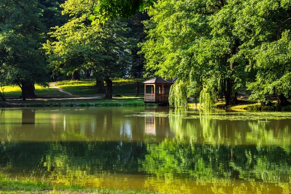 Reflexões lagoa no parque — Fotografia de Stock