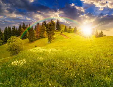 birkaç gün batımında hillside çayır ağaçta