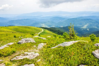 Ormanın yakınında bir yamaca dolambaçlı yol