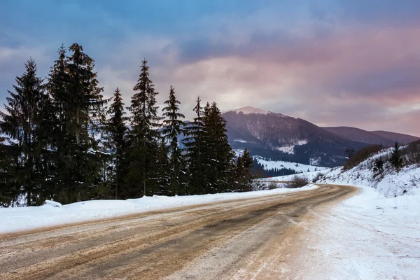 Estrada de montanha na neve perto da floresta conífera com véspera nublada — Fotografia de Stock