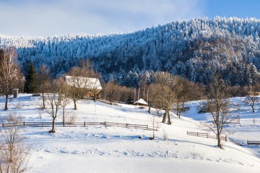 Kış dağlarda yamaca Odunluk