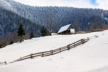 Kış dağlarda yamaca Odunluk