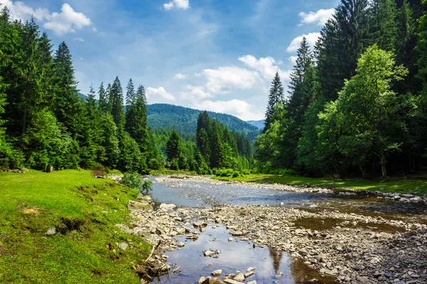 Landscape with mountain river — Stock Photo, Image