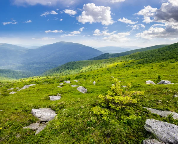 Steinblokker på åssiden i høye fjell – stockfoto