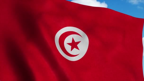 Bandeira da Tunísia acenando ao vento, fundo azul do céu. 4K — Vídeo de Stock