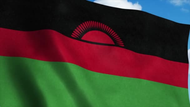 Malawi flag waving in the wind, blue sky background. 4K — Stock Video