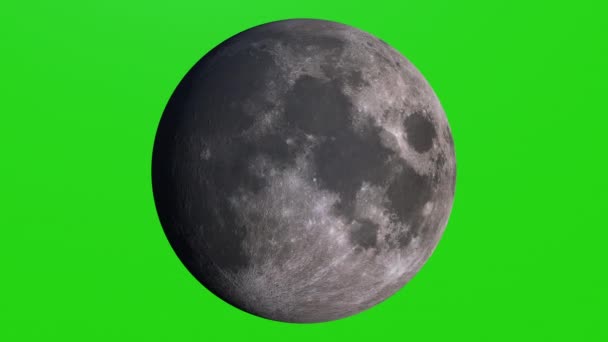 Lune réaliste tournant. Parfait pour votre propre arrière-plan en utilisant l'écran vert. Texture détaillée élevée — Video