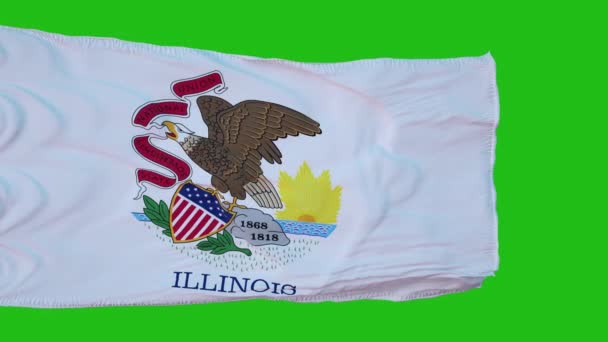 Vlag Van Illinois Green Screen Perfect Voor Eigen Achtergrond Met — Stockvideo