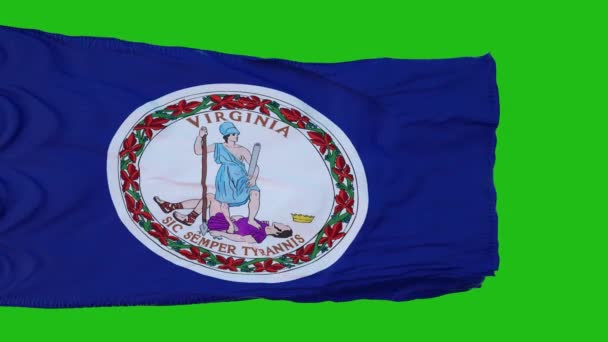 Vlag Van Virginia Green Screen Perfect Voor Eigen Achtergrond Met — Stockvideo