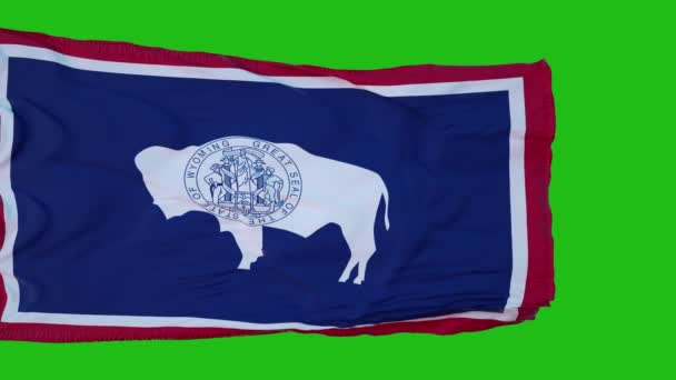 Wyomingská Vlajka Zelené Obrazovce Ideální Pro Vaše Vlastní Pozadí Pomocí — Stock video