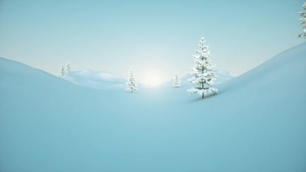 Lot aparatem przez zimowy krajobraz z drzewami i śniegiem oraz niskie słońce i błękitne niebo. Wysokiej jakości animacja 3D w pętli — Wideo stockowe