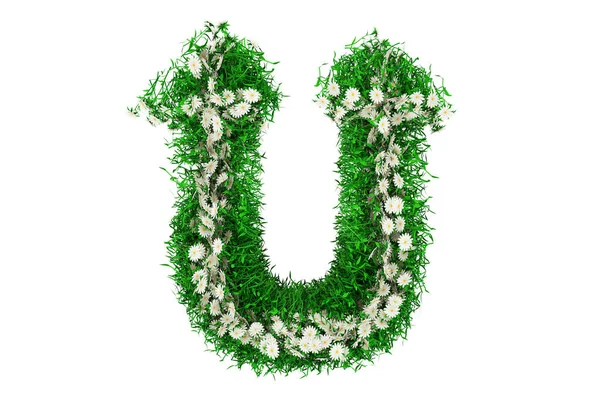 Лист U зеленої трави і квітів. 3D візуалізація — стокове фото