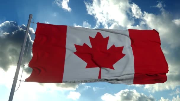 Den nationella flaggan i Kanada även känd som Maple Leaf fladdrar i vinden — Stockvideo