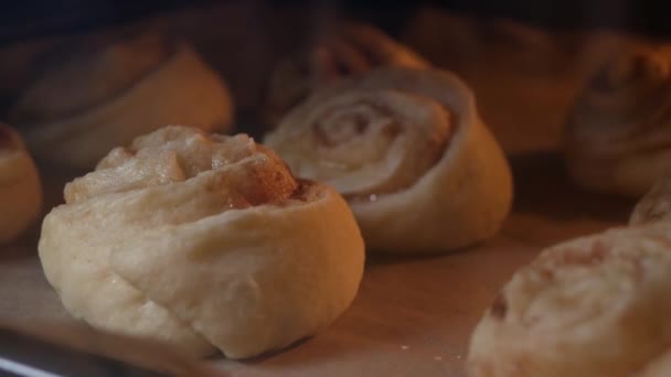 Kanelbullar som bakas i ugnen — Stockvideo