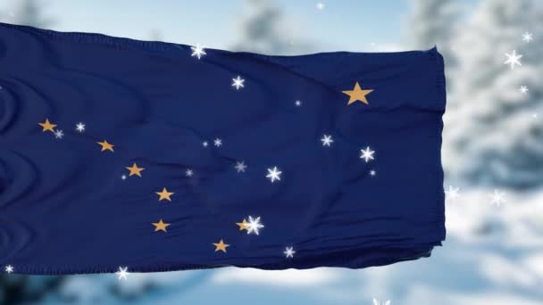 Alaska hiver flocons de neige drapeau fond. États-Unis d'Amérique — Video