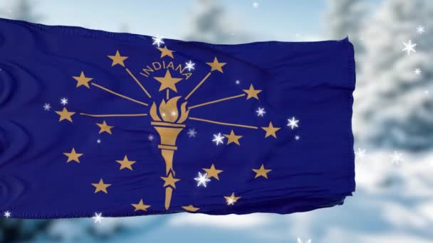 Indiana zimowe płatki śniegu tle flagi. Stany Zjednoczone Ameryki — Wideo stockowe