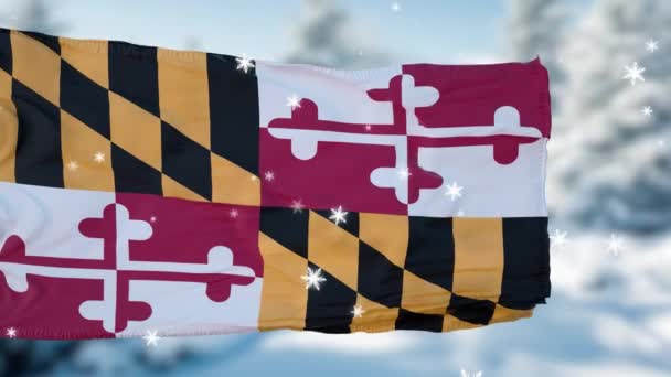 Maryland hiver flocons de neige drapeau fond. États-Unis d'Amérique — Video