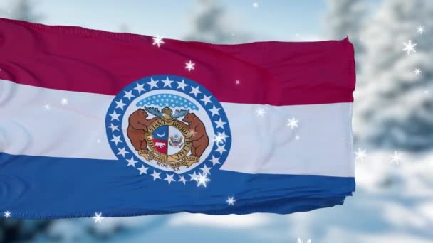 Missouri Winter Schneeflocken Flagge Hintergrund. Vereinigte Staaten von Amerika — Stockvideo