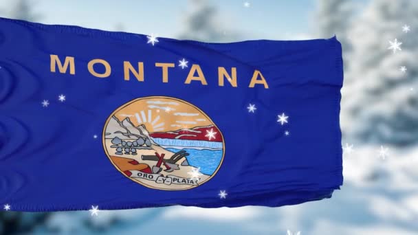 Montana hiver flocons de neige drapeau fond. États-Unis d'Amérique — Video