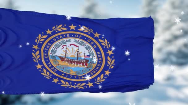 ニューハンプシャー州の冬の雪の旗の背景。アメリカ合衆国 — ストック動画