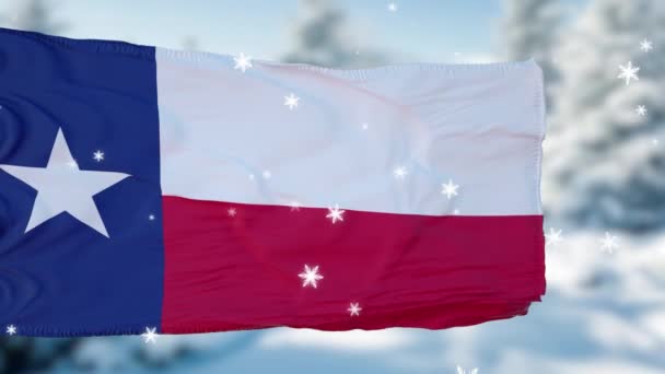 Texas winter sneeuwvlokken vlag achtergrond. Verenigde Staten van Amerika — Stockvideo