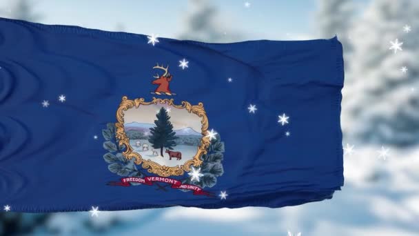 Zimowe płatki śniegu Vermont tle flagi. Stany Zjednoczone Ameryki — Wideo stockowe