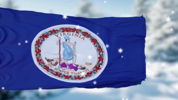 Virginia winter sneeuwvlokken vlag achtergrond. Verenigde Staten van Amerika — Stockvideo