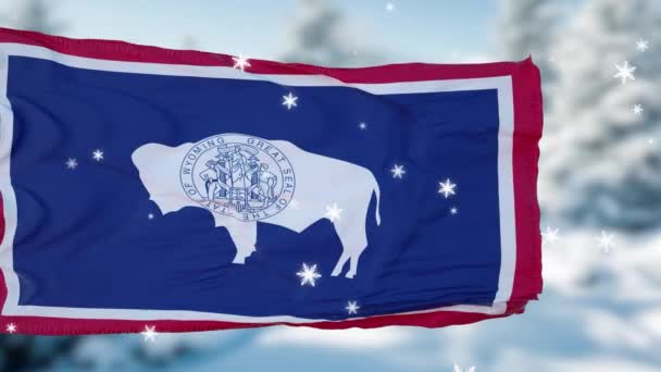 Wyoming musim dingin kepingan salju latar belakang bendera. Amerika Serikat. — Stok Video