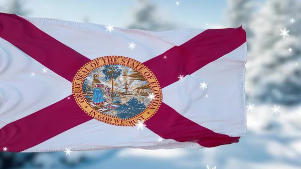 Florida Winter Sneeuwvlokken Vlag Achtergrond Verenigde Staten Van Amerika Illustratie — Stockfoto
