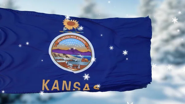 Kansas Winter Sneeuwvlokken Vlag Achtergrond Verenigde Staten Van Amerika Illustratie — Stockfoto