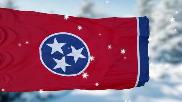 Tennessee Winter Sneeuwvlokken Vlag Achtergrond Verenigde Staten Van Amerika Illustratie — Stockfoto