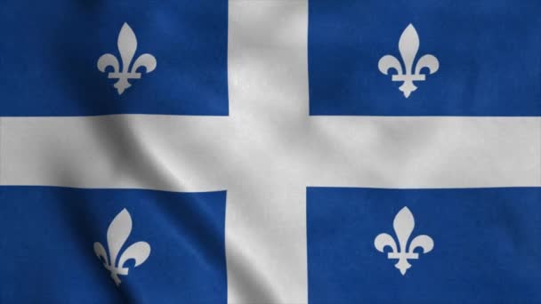 Vídeo de la bandera de la provincia de Quebec ondeando con viento. Antecedentes realistas Bandera Provincia — Vídeos de Stock