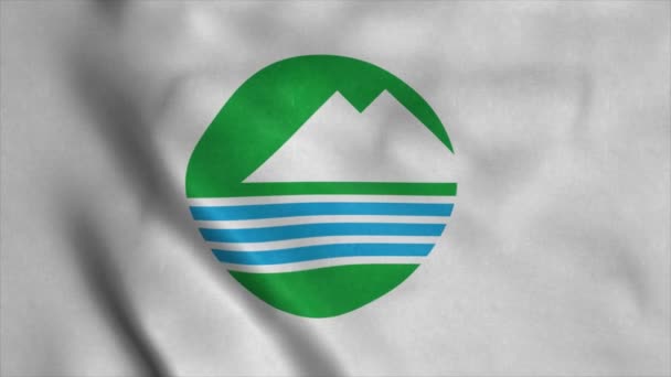 Флаг Тикусеи, префектура Ибараки, размахивает ветром. Реалистичный фон флага — стоковое видео