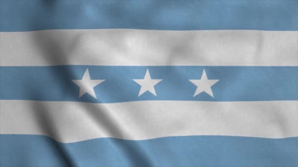 Guayaquil vlag, Ecuador, wapperend in de wind. Realistische vlag achtergrond — Stockvideo