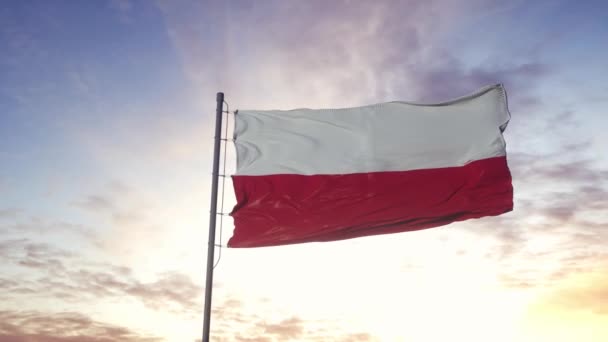 The national flag of Poland waving in the wind, dramatic sky background. 4K — Stock Video