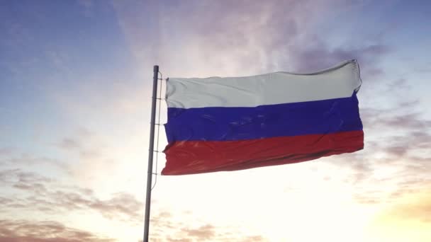 The national flag of Russia waving in the wind, dramatic sky background. 4K — Stock Video