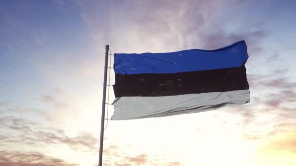 爱沙尼亚国旗在风中飘扬,天空背景戏剧性.4K — 图库视频影像