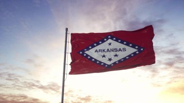 Arkansas eyalet bayrağı rüzgarda sallanıyor. Dramatik gökyüzü arkaplanı. 3d illüstrasyon.