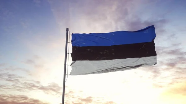 Estland Vlag Zwaaiend Wind Dramatische Lucht Achtergrond Illustratie — Stockfoto