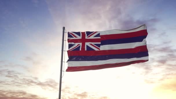 Die Staatsflagge von Hawaii weht im Wind. Dramatischer Himmelshintergrund. 4K — Stockvideo