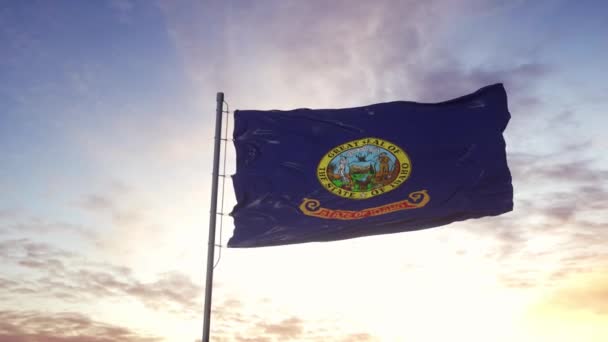 Die Staatsflagge von Idaho weht im Wind. Dramatischer Himmelshintergrund. 4K — Stockvideo