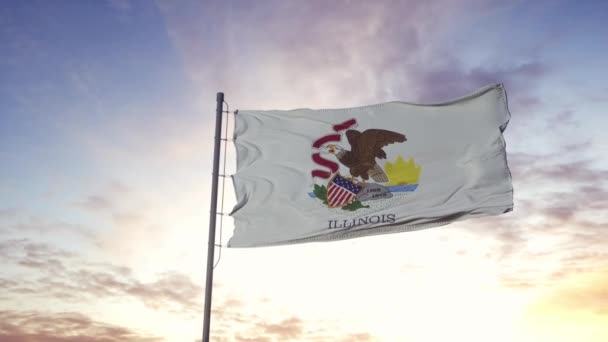De vlag van Illinois wappert in de wind. Dramatische lucht achtergrond. 4K — Stockvideo