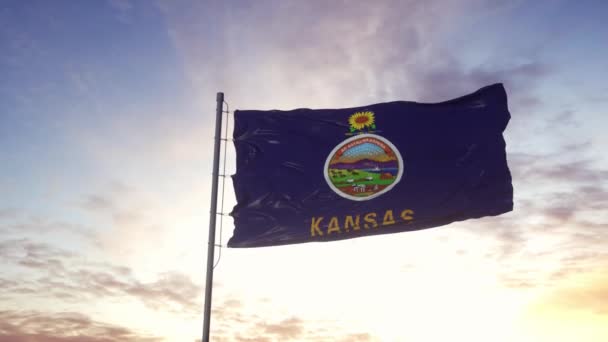 Kansas eyalet bayrağı rüzgarda sallanıyor. Dramatik gökyüzü arkaplanı. 4K — Stok video