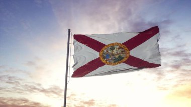 Florida eyalet bayrağı rüzgarda sallanıyor. Dramatik gökyüzü arkaplanı. 3d illüstrasyon